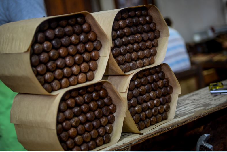 Marco V Cigars - May Update