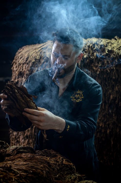 Marco V Cigars - National Marco V Day - February 19th!