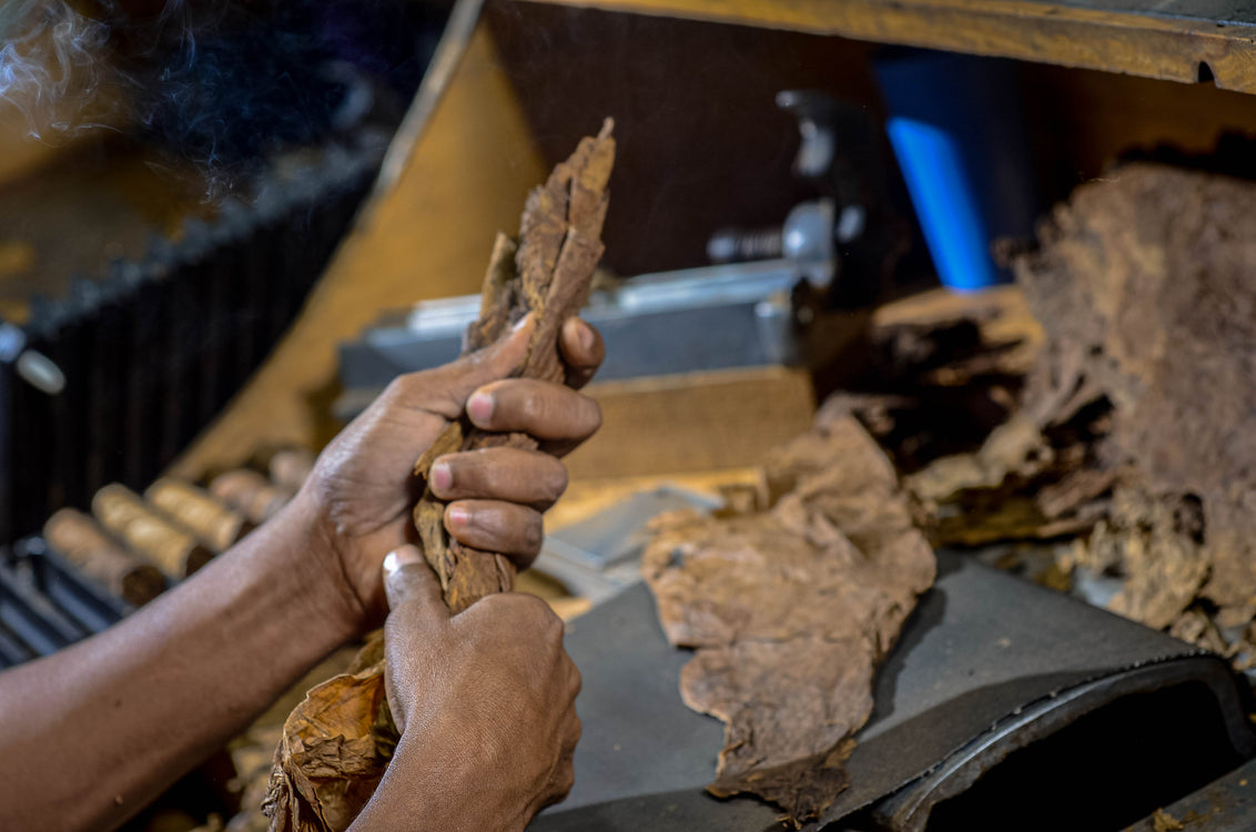 Marco V Cigars - February 2025 Update