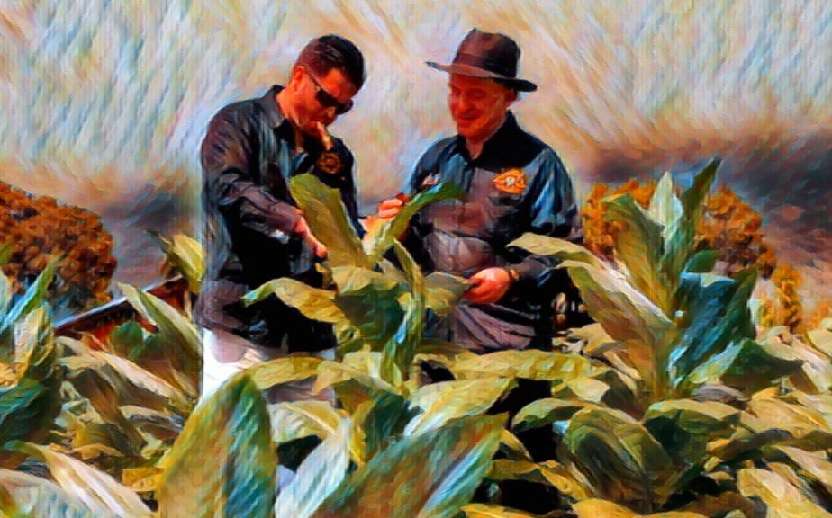 Marco V Cigars -Happy Thanksgiving & Black Friday!