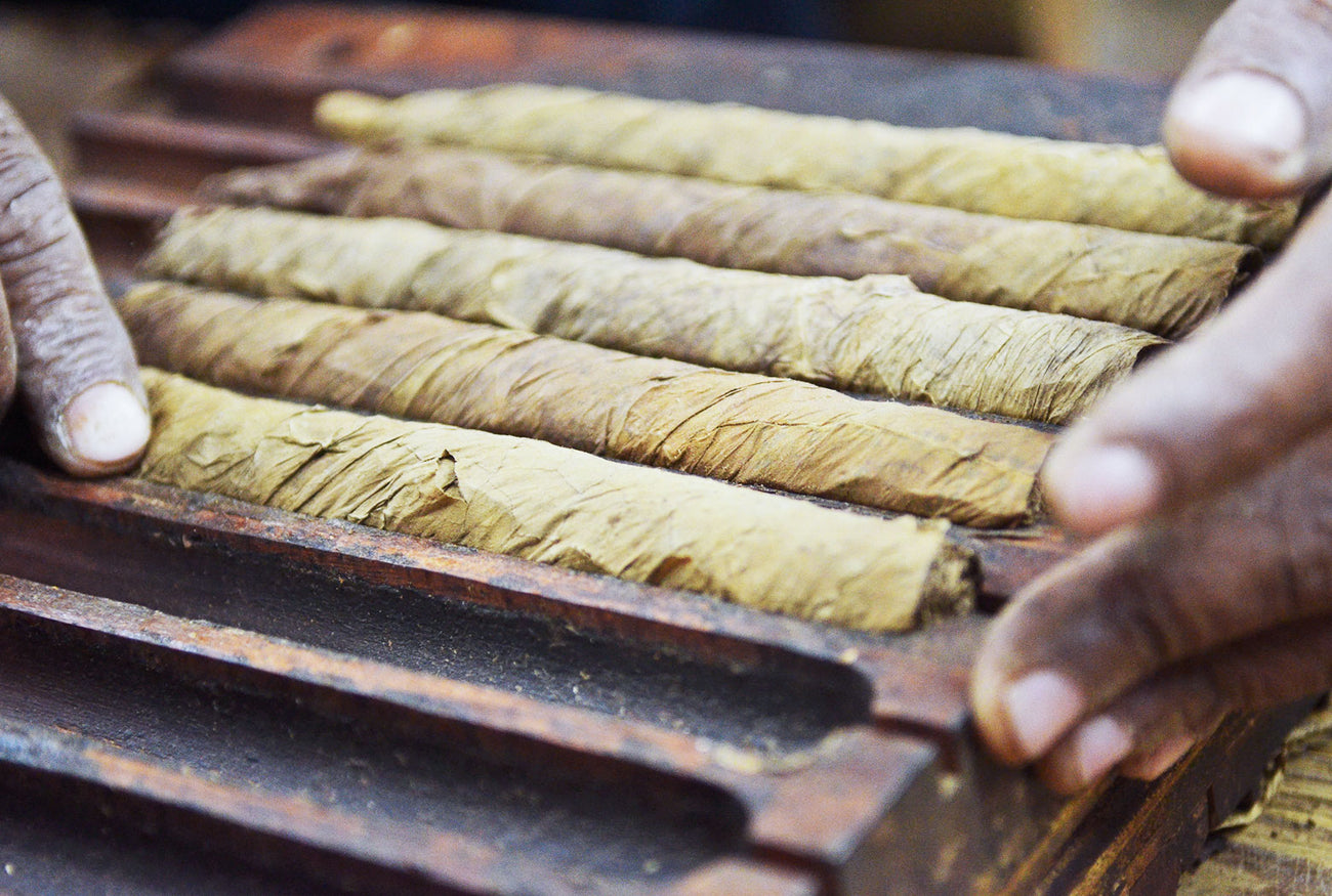 Marco V | Fine Cigars | Unrivaled Quality